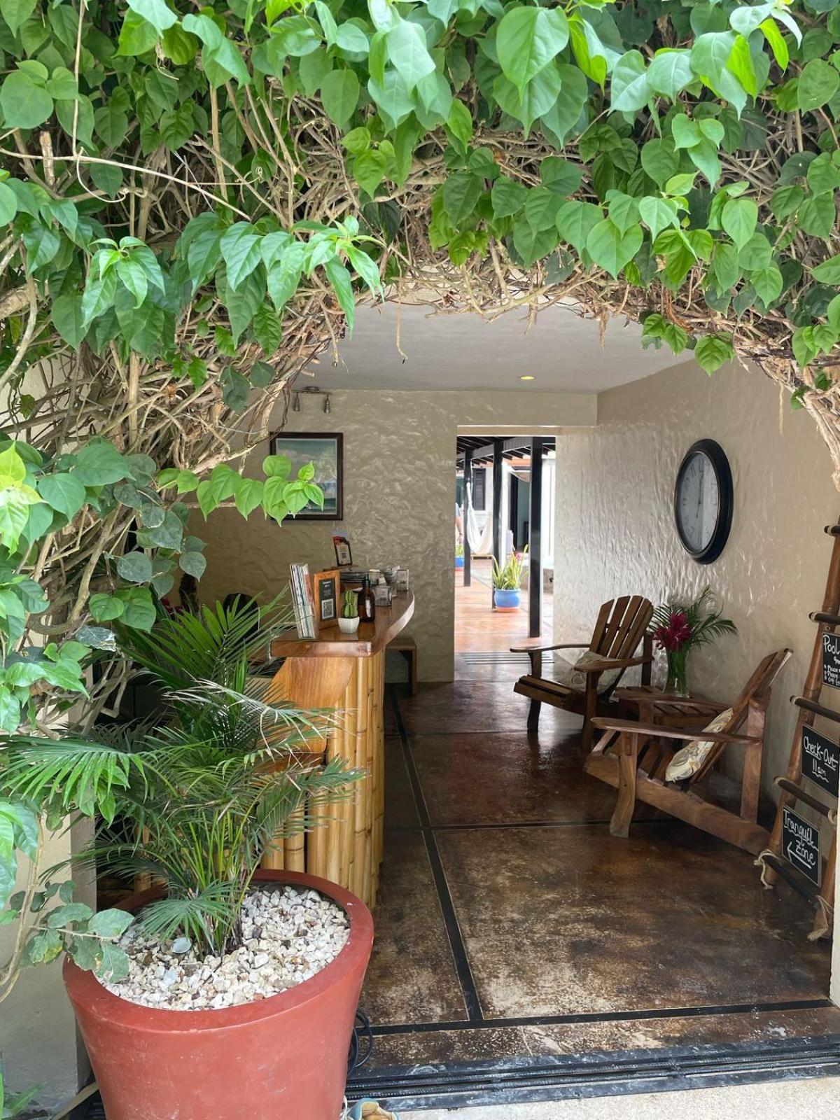 Casa Marbella Hotel Playa Santa Teresa  Ngoại thất bức ảnh